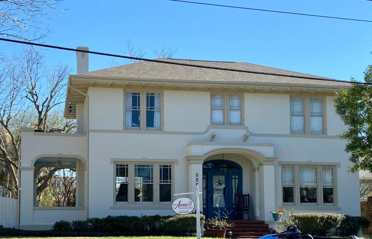 Avenue O Bed And Breakfast 加尔维斯敦 外观 照片