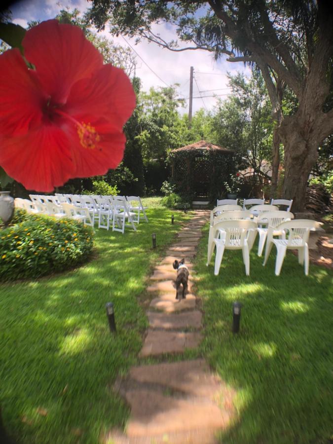 Avenue O Bed And Breakfast 加尔维斯敦 外观 照片